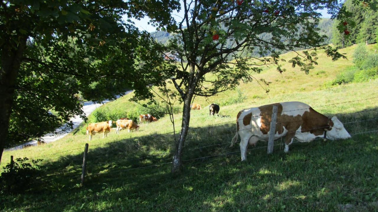 Ferienhaus Englbrecht Krispl Exteriör bild